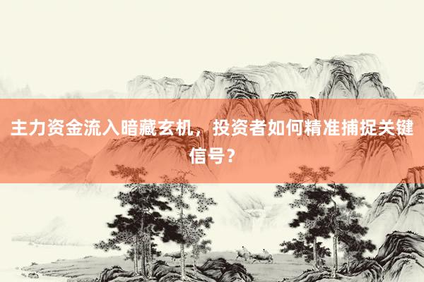 主力资金流入暗藏玄机，投资者如何精准捕捉关键信号？