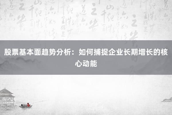 股票基本面趋势分析:如何捕捉企业长期增长的核心动能