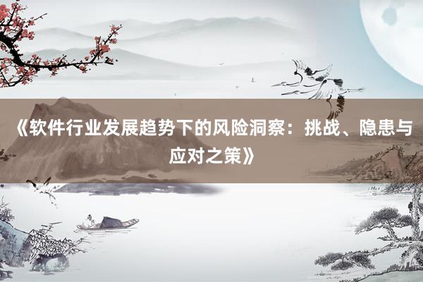 《软件行业发展趋势下的风险洞察：挑战、隐患与应对之策》