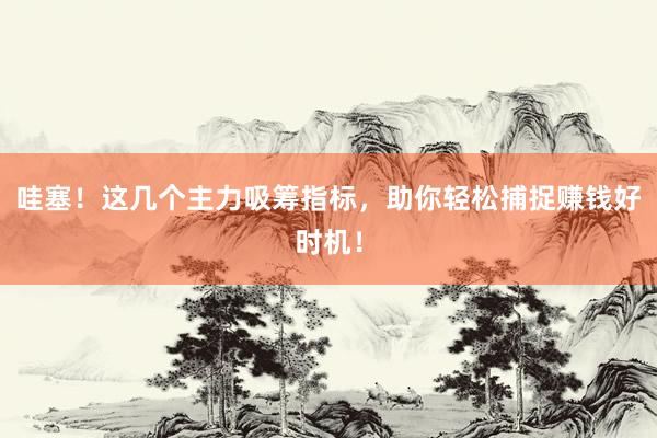 哇塞！这几个主力吸筹指标，助你轻松捕捉赚钱好时机！