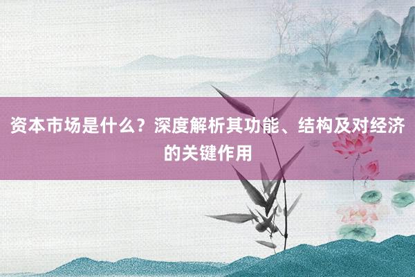 资本市场是什么？深度解析其功能、结构及对经济的关键作用