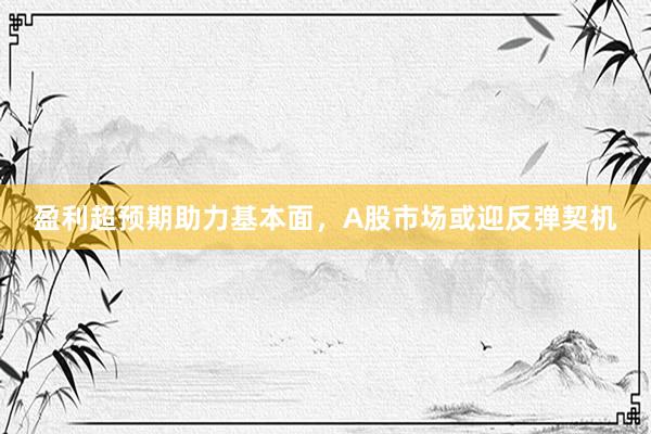 盈利超预期助力基本面，A股市场或迎反弹契机