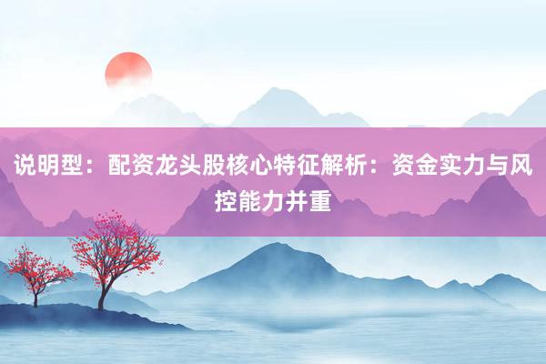 说明型：配资龙头股核心特征解析：资金实力与风控能力并重