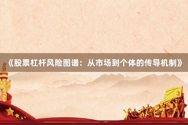 《股票杠杆风险图谱：从市场到个体的传导机制》