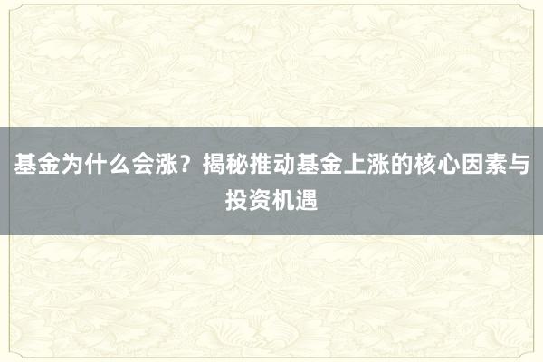 基金为什么会涨？揭秘推动基金上涨的核心因素与投资机遇