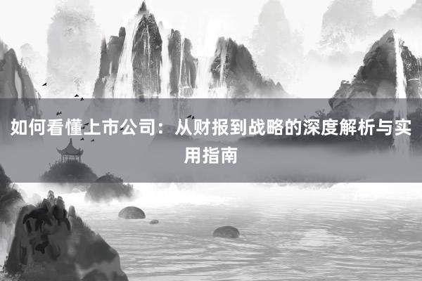 如何看懂上市公司：从财报到战略的深度解析与实用指南
