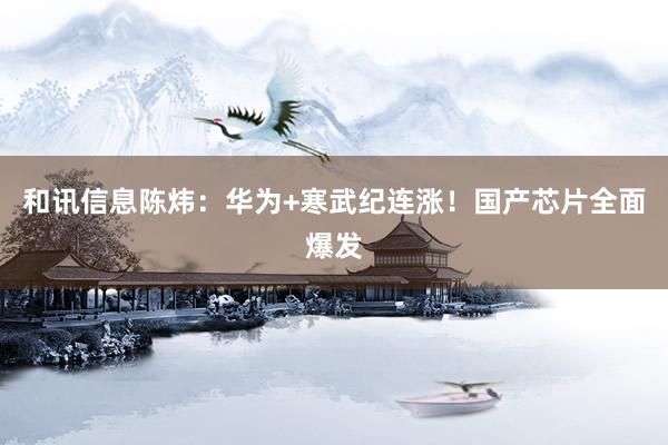 和讯信息陈炜：华为+寒武纪连涨！国产芯片全面爆发
